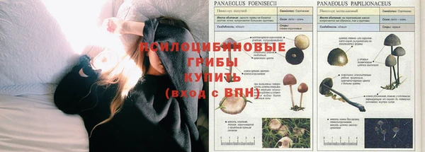 мефедрон Абаза