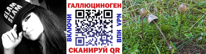 MEGA ссылка  Арсеньев  shop как зайти  где можно купить   Псилоцибиновые грибы прущие грибы 